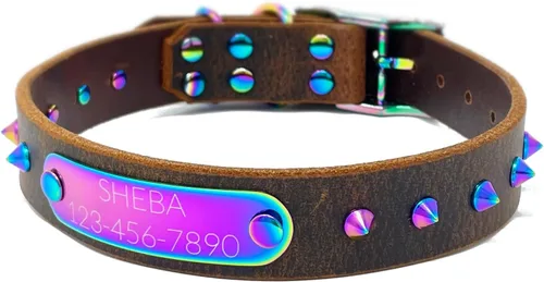 Miniatura 8 de Collar de perro de cuero con brida hecha a mano, grabado arco iris de acero inoxidable (negro)