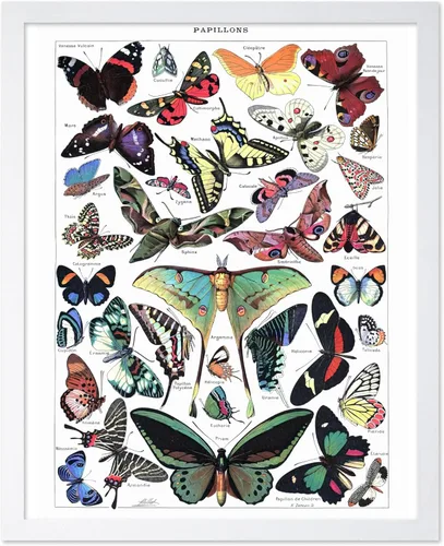 Miniatura 29 de Poster Master Póster vintage de miel, impresión retro de La Vie De L'Abeille, arte de panal de abeja, arte de pared de abeja, regalo para hombres