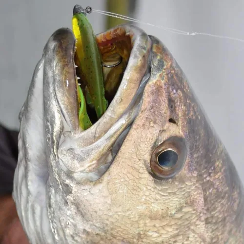 Miniatura 7 de Kit de señuelos de pesca de agua dulce, aparejos de pesca. Caja de aparejos que incluye cebos tipo crankbait, señuelos de superficie, jigs, cucharas