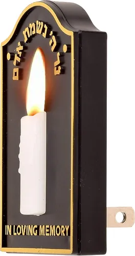 Miniatura 2 de Enchufe conmemorativo eléctrico.