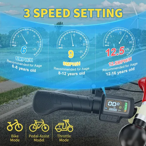 Miniatura 3 de NAIZEA Bicicleta eléctrica para niños, triciclo de 16 pulgadas para niños y niñas de 6 a 12 años, bicicleta eléctrica para niños de 250 W, bicicleta