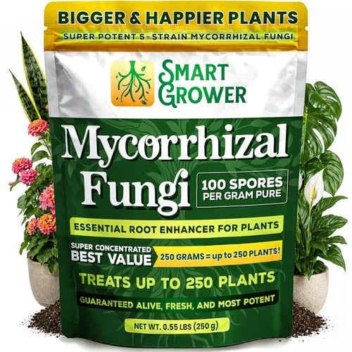 Miniatura 9 de Potenciador de raíces de hongos micorrízicos orgánicos para plantas, súper potente 100 esporas por gramo, mezcla de 5 cepas, resultados rápidos