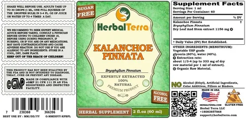 Miniatura 2 de Herbal Terra LLC Kalanchoe Pinnata (Bryophyllum Pinnatum) Extracto líquido sin alcohol de hojas secas y tallos de glicerita, 2 onzas líquidas