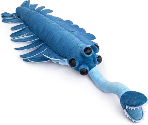 Miniatura 13 de Juguete de peluche realista de organismo antiguo cámbrico Microdictyon – Simulación de 20" de criatura marina del Cámbrico Microdictyon