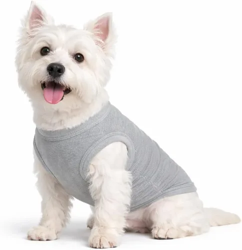 Miniatura 55 de Lovelonglong Ropa para mascotas de verano 2019, ropa para perro, camisetas en blanco, camisetas acanaladas, chalecos de hilo superior para perros