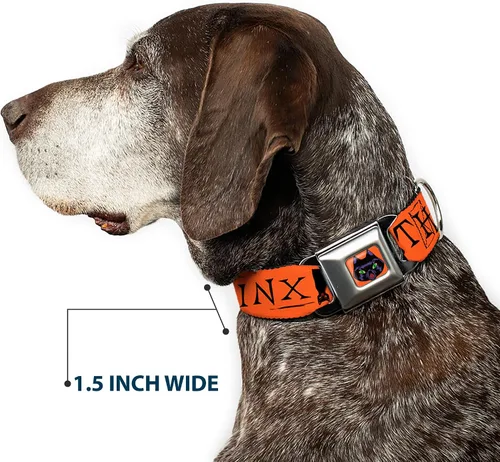 Miniatura 7 de Buckle-Down Collar de perro Hebilla de cinturón de seguridad Hocus Pocus Thackery Binx Cat Silhouette Naranja Negro, 1 pulgada de ancho - Se adapta