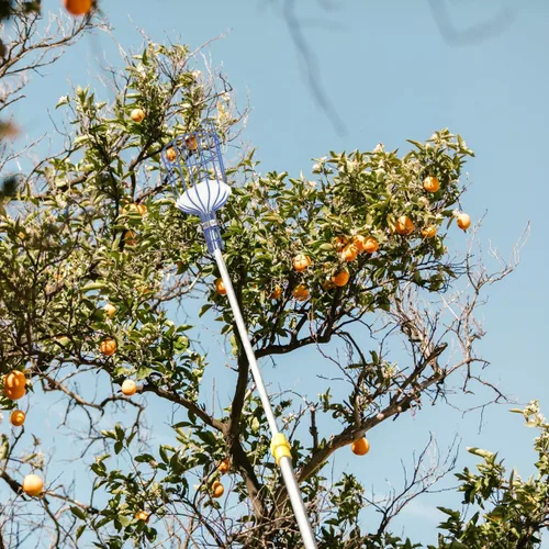 Miniatura 5 de 1 herramienta multifuncional para cosechadora de frutas ligera con diseño desmontable para Apple eficiente para trabajadores de huertos