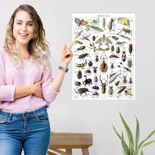 Miniatura 6 de Paquete de 4 pósteres vintage de insectos, gráficos de referencia de identificación de entomología, volúmenes 1, 2 y 3 y artrópodos