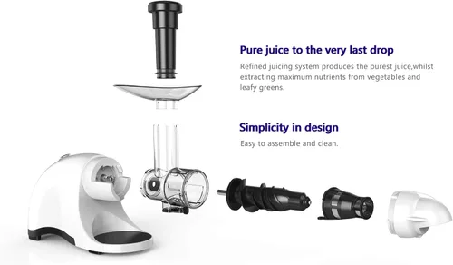 Miniatura 7 de F-9600 Exprimidor de masticación horizontal, prensa en frío, exprimidor profesional de velocidad lenta crea jugo continuo de frutas frescas