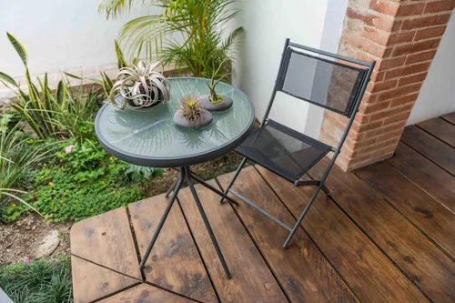 Miniatura 3 de Paquete de 3 soportes de piedra de cerámica gris con plantas de aire surtidas, planta de interior y exterior de Tillandsia viva, al por mayor y a
