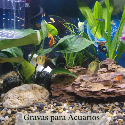 Miniatura 3 de FANTIAN 5 libras de grava de acuario, grava de guijarro para pecera de peces, piedras de río decorativas de 1/4 pulgada para acuario, suculenta