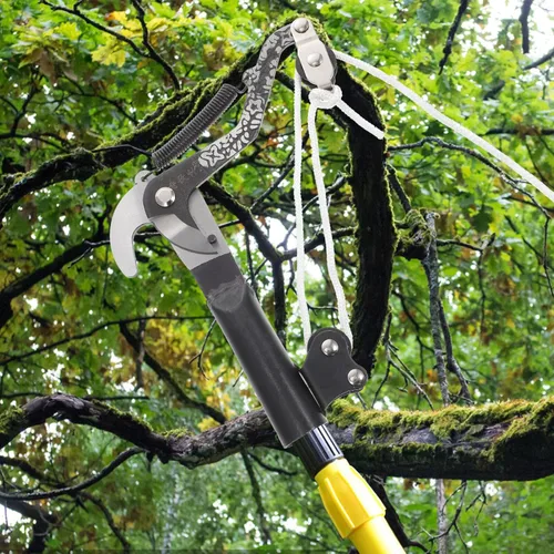 Miniatura 7 de Scicalife Tijeras de podar de 7.87 pulgadas, tijeras de podar para jardín, herramienta de mano resistente al óxido para arbustos, árboles, flores