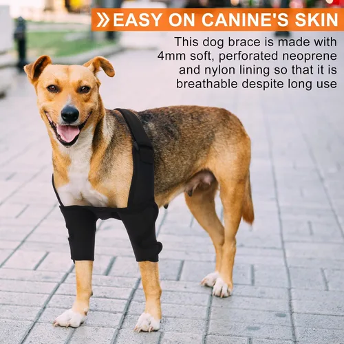 Miniatura 6 de Codera ajustable para perro con soporte de hombro, soporte de pierna delantera para perro para ligamentos desgarrados, artritis, rehabilitación