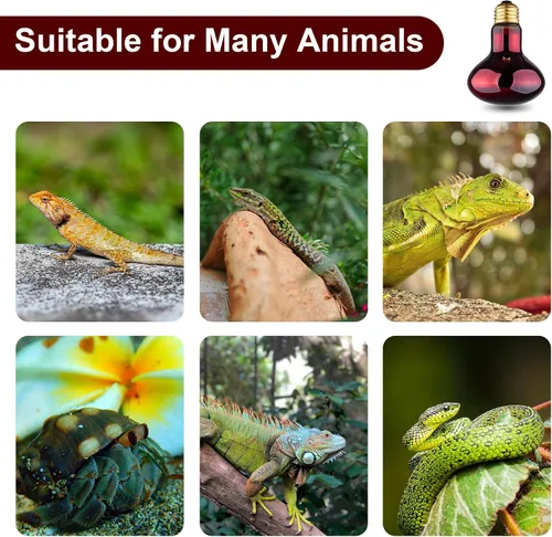 Miniatura 3 de Bombilla de calor para reptiles, bombillas de calor infrarrojo de 100 W, bombilla roja para serpiente, tortuga, dragón barbudo, lagarto, pollos