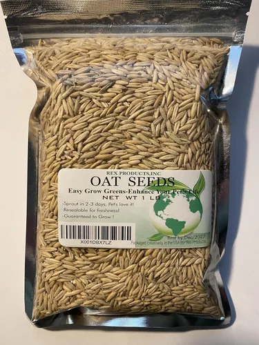 Miniatura 2 de Semillas de avena 1 libra (más de 3000 semillas) - Gato, perro, mascotas - Semillas de hierba de avena