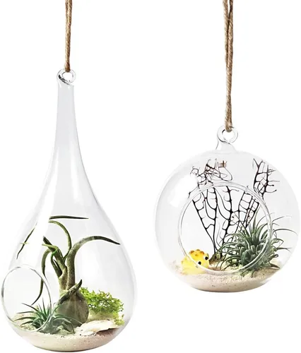 Mkono Paquete de 2 macetas colgantes de vidrio para helechos de aire, jarrón colgante de plantas de terrario, decoración de Navidad, idea de regalo