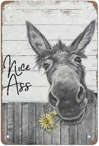 QHOVPA Letreros de metal vintage con diseño de burro, divertido letrero de baño para baño, ilustración de pared con texto en inglés "Nice Ass",