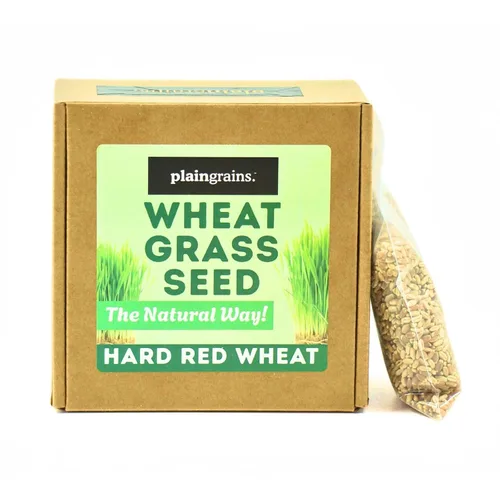 Miniatura 3 de PlainGrains. The Natural Way - Semillas de pasto de trigo de 1.5 libras 100% semillas de hierba de trigo para brotar Semillas de hierba