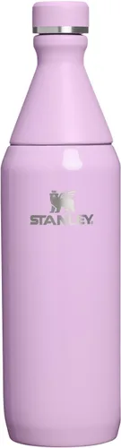 Miniatura 32 de Stanley All Day - Botella delgada de 20 onzas, tapa giratoria con sello a prueba de fugas, diseño delgado para viajes y gimnasio, acero inoxidable