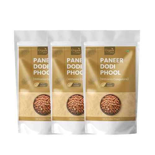 Miniatura 9 de Organic Spree Paneer Dodi Phool – Withania Coagulans 5.29 oz (150 gm) Cuajo indio puro para el bienestar natural Flor seca pura