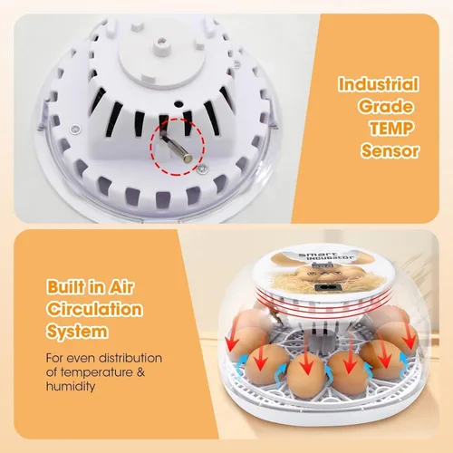 Miniatura 7 de Incubadoras para incubar huevos, tazas para dar de beber a pollos, volteador de huevos automático que contiene 12 huevos, incubadora inteligente