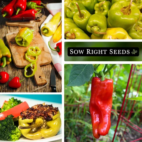 Miniatura 4 de Sow Right Seeds - Semillas de pimiento dulce Cubanelle para plantar al aire libre - Paquete de reliquia sin OMG con instrucciones para plantar un