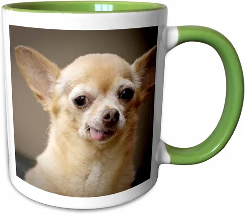 Miniatura 12 de 3dRose Taza de café, tamaño – 15 oz – Perro Chihuahua sin dientes, Santa Fe, Nuevo México – US32 JMR0502 – Julien McRoberts Dogs – divertido regalo