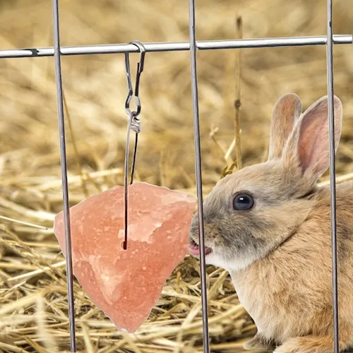 Miniatura 4 de PINVNBY Bloques de sal para conejos, 4 piezas de mascotas pequeñas del Himalaya lamen sal bloque de sal sales minerales naturales con gancho