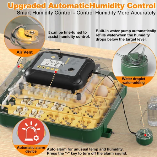Miniatura 4 de Incubadora de 49 huevos para incubar huevos con giro automático de huevos, pantalla de temperatura y humedad, cuenta regresiva del día