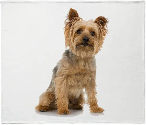 Miniatura 9 de CafePress Yorkie - Manta de forro polar súper suave, 60 x 50 pulgadas