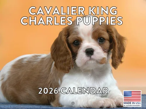 Miniatura 92 de Calendario de pared mensual 2025 Great Dane de 12 meses, fabricado en Estados Unidos