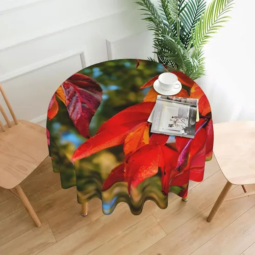 Miniatura 14 de Mantel decorativo redondo Cactus Desert Sunsets: transforma tus mesas de comedor y café con nuestro exuberante acento de lino