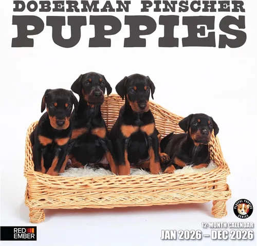 Miniatura 30 de RED EMBER Golden Retriever Puppies - Calendario de pared 2026 de 12 meses 12 x 24 pulgadas abierto Papel grueso y resistente Regalo