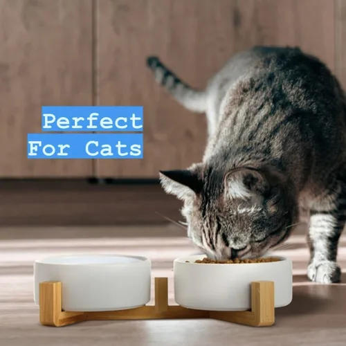 Miniatura 5 de Juego de cuencos de cerámica para gatos y perros pequeños, modernos cuencos para alimentos y agua para mascotas de tamaño pequeño con soporte