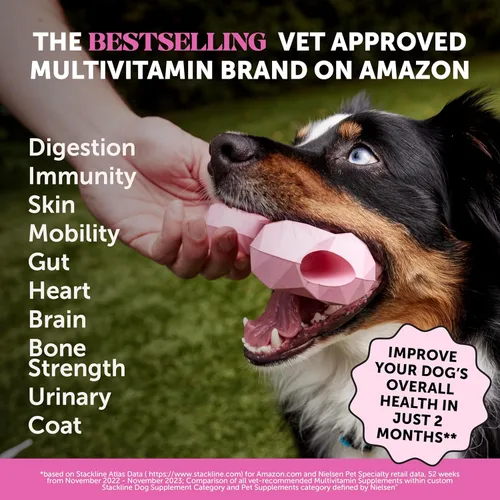 Miniatura 2 de Suplemento multivitamínico para perros, glucosamina condroitina para perros, probióticos, aceite de pescado Omega, suplementos y vitaminas