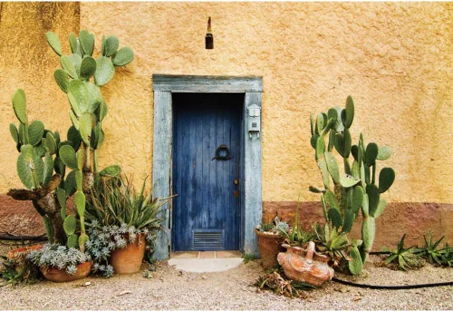 Miniatura 7 de Leyiyi Fondo de fotografía de 5 x 3 pies, diseño de cactus de México, edificio occidental, planta del desierto, Saguaro, grunge, piedra, pared