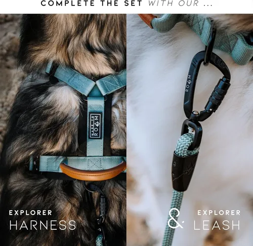Miniatura 7 de ROAM - Collar para perro, collar de alta calidad, ajustable, de nailon resistente con hebilla metálica de liberación rápida