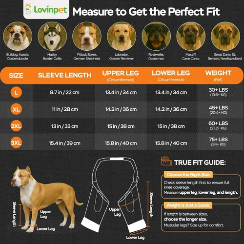 Miniatura 3 de LovinPet Mangas delanteras para perros medianos y grandes, protección de codo elástica en 4 direcciones, recuperación antilamos, prevención de calor