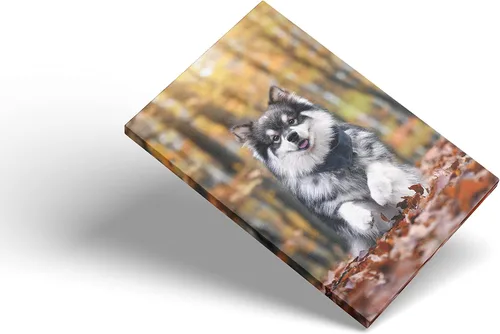 Miniatura 4 de Impresiones en lienzo personalizadas con tus fotos, imágenes personalizadas sobre lienzo, arte de pared para dormitorio, sala de estar, boda, bebé