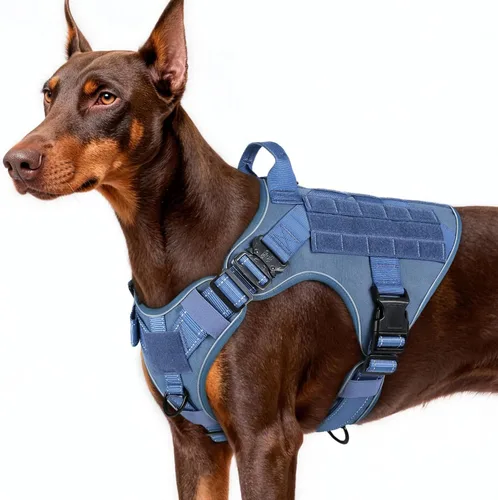 Miniatura 51 de rabbitgoo - Arnés táctico para perros pequeños, arnés resistente para mascotas con asa, chaleco de servicio sin tirones para razas pequeñas, chaleco