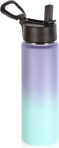 Volhoply Botellas de agua aisladas de 22 onzas con tapa con popote, botella de acero inoxidable con asa, vasos de agua de viaje de metal de doble
