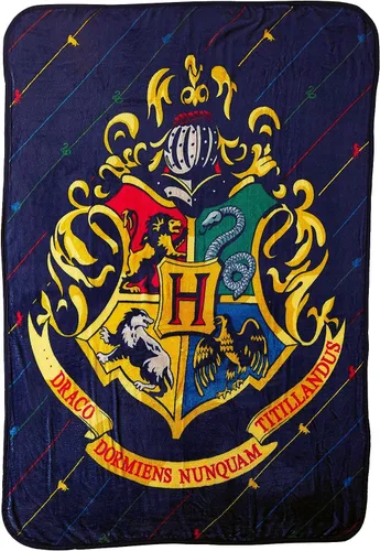 Northwest Manta Micro Raschel de Harry Potter, 46 x 60 pulgadas, Rayas de la Casa Casa Pinstripes