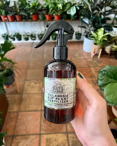 Miniatura 3 de Cute Farms Tillandsia Fertilizante para plantas de aire, fórmula suave de uso semanal, alimento vegetal Nutrientes formulados para plantas de aire