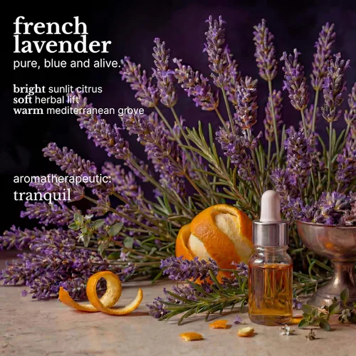 Miniatura 6 de Red Flower Lavanda francesa hidratante para el cabello, 10.2 onzas líquidas