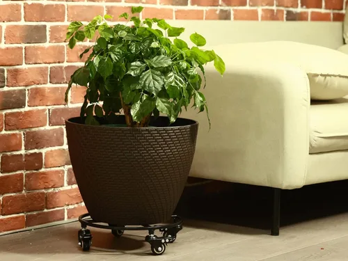 Miniatura 8 de Paquete de 2 organizadores grandes de metal para plantas con ruedas de 13.6 pulgadas, soportes rodantes para plantas de hierro forjado, rodillos