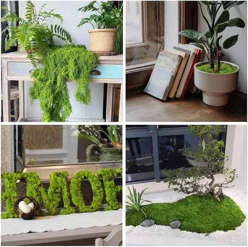 Miniatura 6 de Aiareozy Musgo falso de 3.5 onzas, musgo verde falso para plantas en maceta, musgo artificial para manualidades, musgo verde para decoración