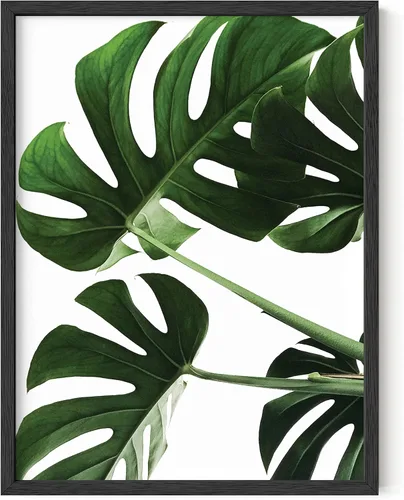 Miniatura 8 de HAUS AND HUES Arte botánico para pared, impresiones suculentas, póster moderno de plantas con diseño de invernadero para decoración del hogar