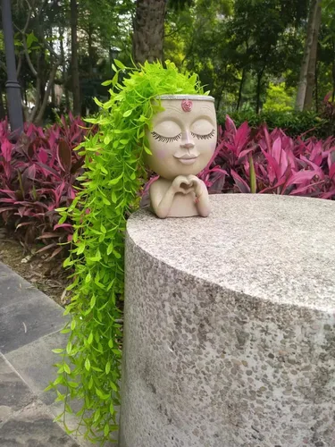 Miniatura 3 de Macetas para suculentas, macetero con cabeza para plantas de interior, macetas para plantas de interior, macetas para suculentas