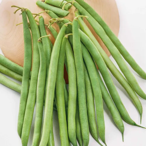 Eden Brothers Semillas de frijol (arbusto) - Semillas Landreth sin hilos sin OMG para plantar, 1 onza | Semillas vegetales de alto rendimiento y
