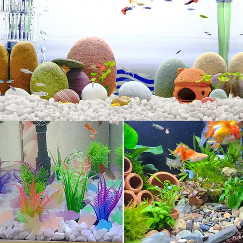 Miniatura 6 de YISZM Grava para suculentas y cactus de 10 libras, guijarros pulidos decorativos naturales blancos de 1/5 pulgadas para paisajismo, rocas de río